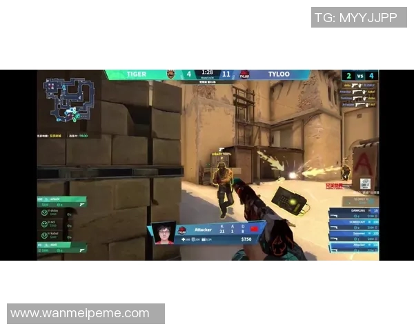 S15LOL比分新手指南与CSGO耐力提升全方位攻略分享